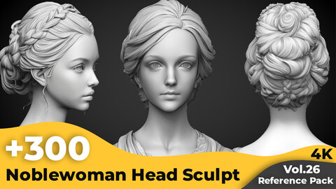 +300 Noblewoman Head Sculpt Reference Images(4k)