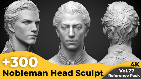 +300 Nobleman Head Sculpt Reference Images(4k)