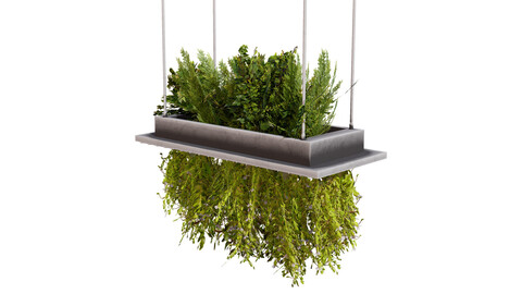 Modern Hanging Planter with Cascading Plants