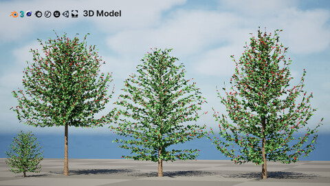 Holly Tree Collection 3D Models