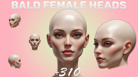 310 Bald Women Head Sculpt Reference Images | Chatacter Images