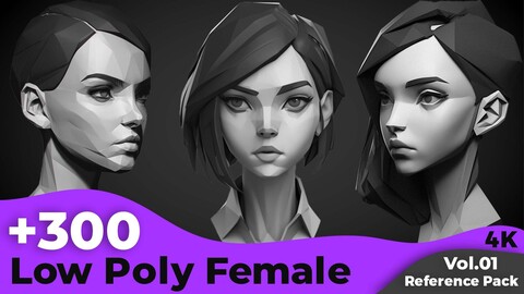 +300 Low Poly Female Head Sculpt Reference Images(4k)