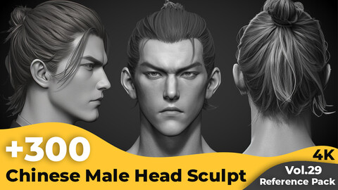 +300 Chinese Male Head Sculpt Reference Images(4k)