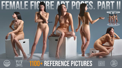 1100+ Female Figure Art Poses Part 2 +30% Off in the description