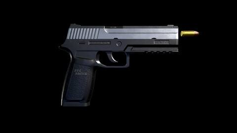 SIG Sauer P250 Pistol - Weapon