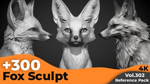 +300 Fox Sculpt Reference Images(4k)