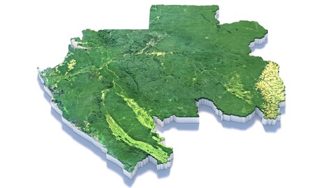 Gabon Republique gabonaise Terrain Map