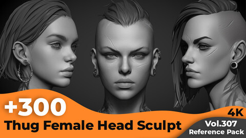 +300 Thug Female Head Sculpt Reference Images(4k)