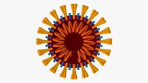 Coronavirus v3 - Cross Section