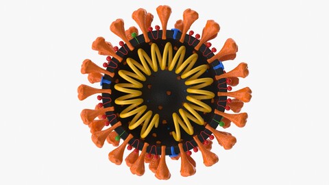 Coronavirus v2 - Cross Section