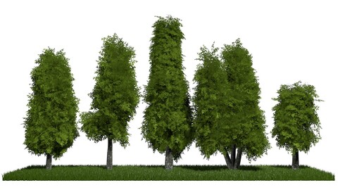 Five low poly trees R3