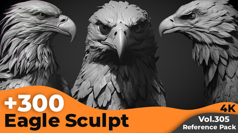 +300 Eagle Sculpt Reference Images(4k)