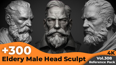 +300 Eldery Male Head Sculpt Reference Images(4k)