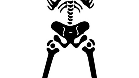 Human Skeleton Vector, svg vector file, laser cut file, cricut file, engraving file, cnc cut file, Eps file