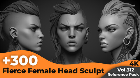 +300 Fierce Female Head Sculpt Reference Images(4k)