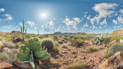 Unclipped HDRi Desert Plateau with Cacti