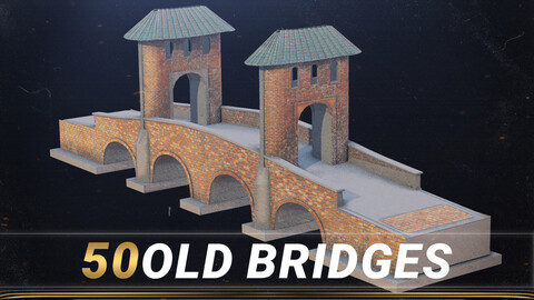 50 Old Bridges