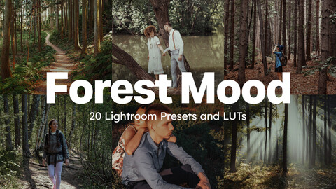 20 Forest Mood Lightroom Presets and LUTs