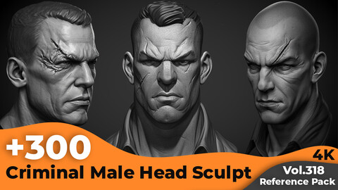 +300 Criminal Male Head Sculpt Reference Images(4k)