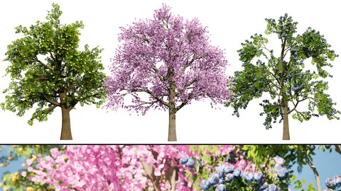 3D Plum Tree Pack