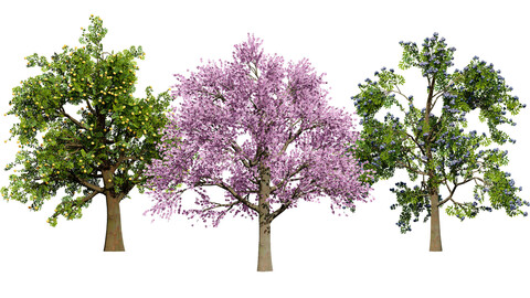 3D Plum Tree Pack