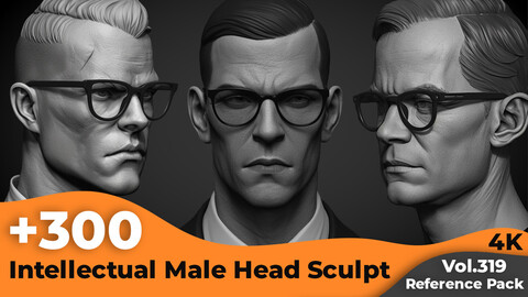 +300 Intellectual Male Head Sculpt Reference Images(4k)