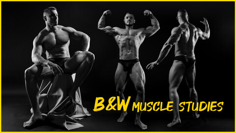 B&W Muscle Studies-Photo Reference Pack 516 JPEGs noAI