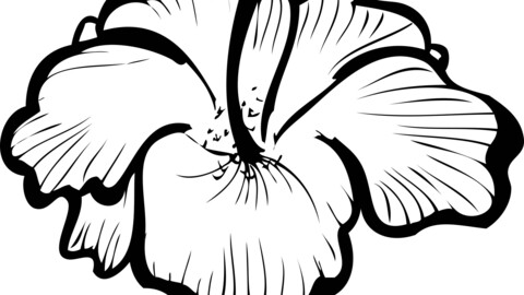 Hibiscus Flower, svg vector file, laser cut file, cricut file, engraving file, cnc cut file, Eps file