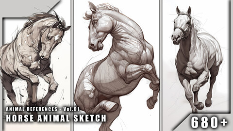 680+ Horse Animal Sketch - Animal References Vol.01