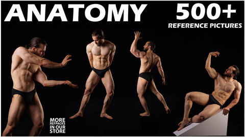 510+ Male Anatomy Poses Reference Pictures