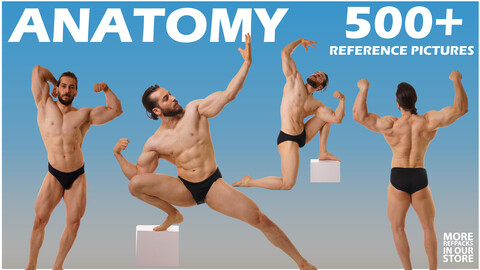 540+  Male Anatomy Poses Reference Pictures