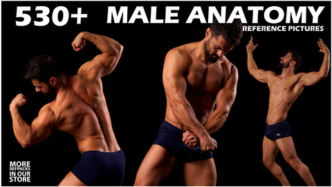 530+ Male Anatomy Poses Reference Pictures