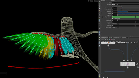 Curves feather Houdini 20.5 HDA