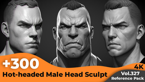 +300 Hot-headed Male Head Sculpt Reference Images(4k)