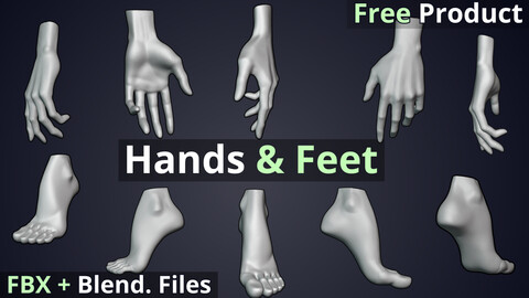 Female Hands and Feet