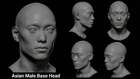 Asian Male Base Head