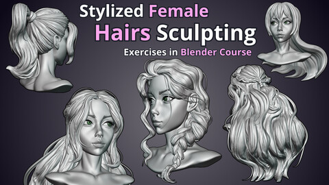 Female Hairs Sculpting Exercises Course