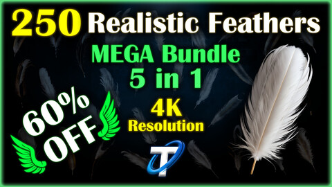 250 Realistic Feather - PBR Textures (MEGA Bundle)