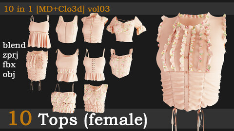 10 Tops(female)[fbx+obj+zprj+blend][md+clo]vol03