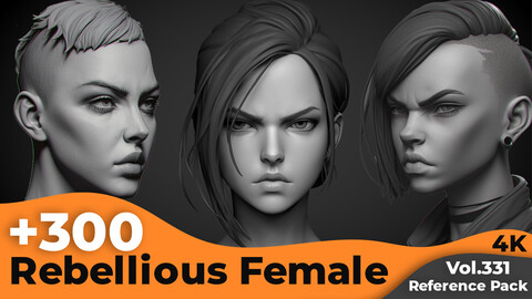 +300 Rebellious Female Head Sculpt Reference Images(4k)