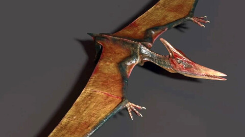 Pteranodon Maya Rig