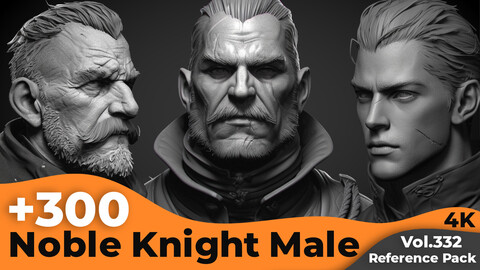 +300 Noble Knight Male Head Sculpt Reference Images(4k)