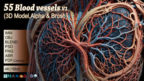 55 Blood vessels (3D Model, Alpha & Brush)