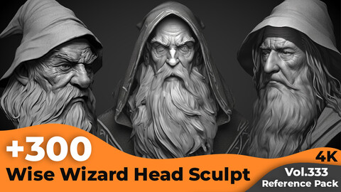 +300 Wise Wizard  Head Sculpt Reference Images(4k)