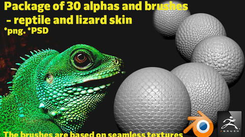 A pack of 30 alphas and brushes of reptilian, lizard skin, created on the basis of seamless textures