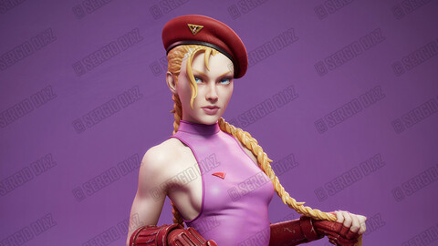 Cammy v2