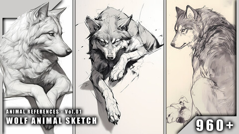 960+ Wolf Animal Sketch - Animal References Vol.01