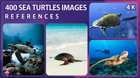 400 Sea Turtles Image Reference Pack – Vol 1