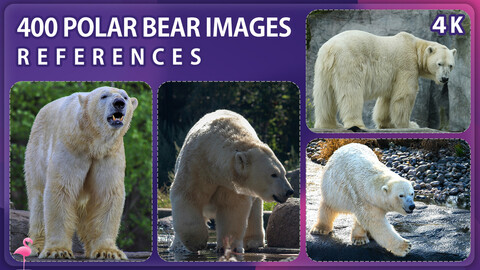 400 Polar Bear Image Reference Pack – Vol 1