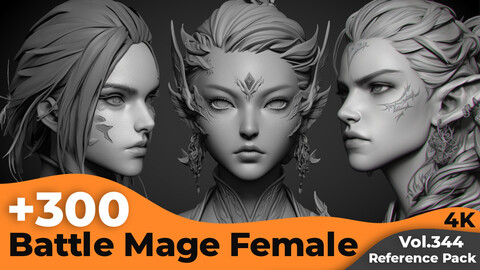 +300 Battle Mage Female Head Sculpt Reference Images(4k)